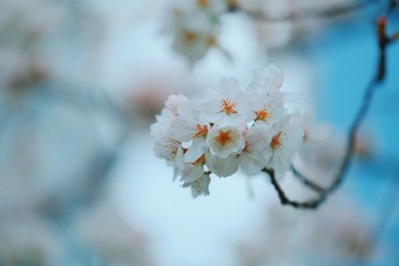 04B2CF26-F426-45BC-BE98-B030DDC6B98B/L0/001