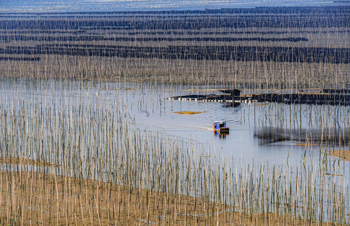 中国最美滩涂——霞浦 - 牛哥wu