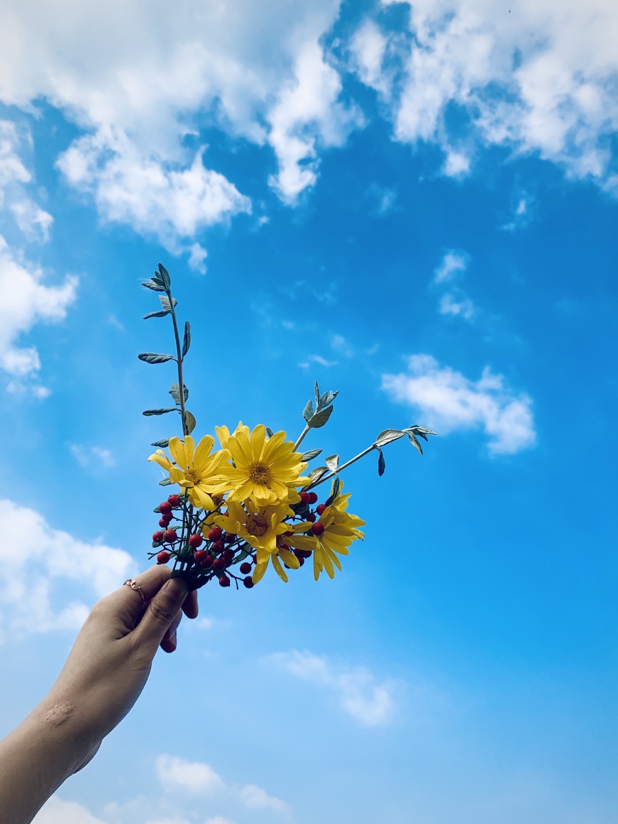 蓝天与花,让心情更美好些