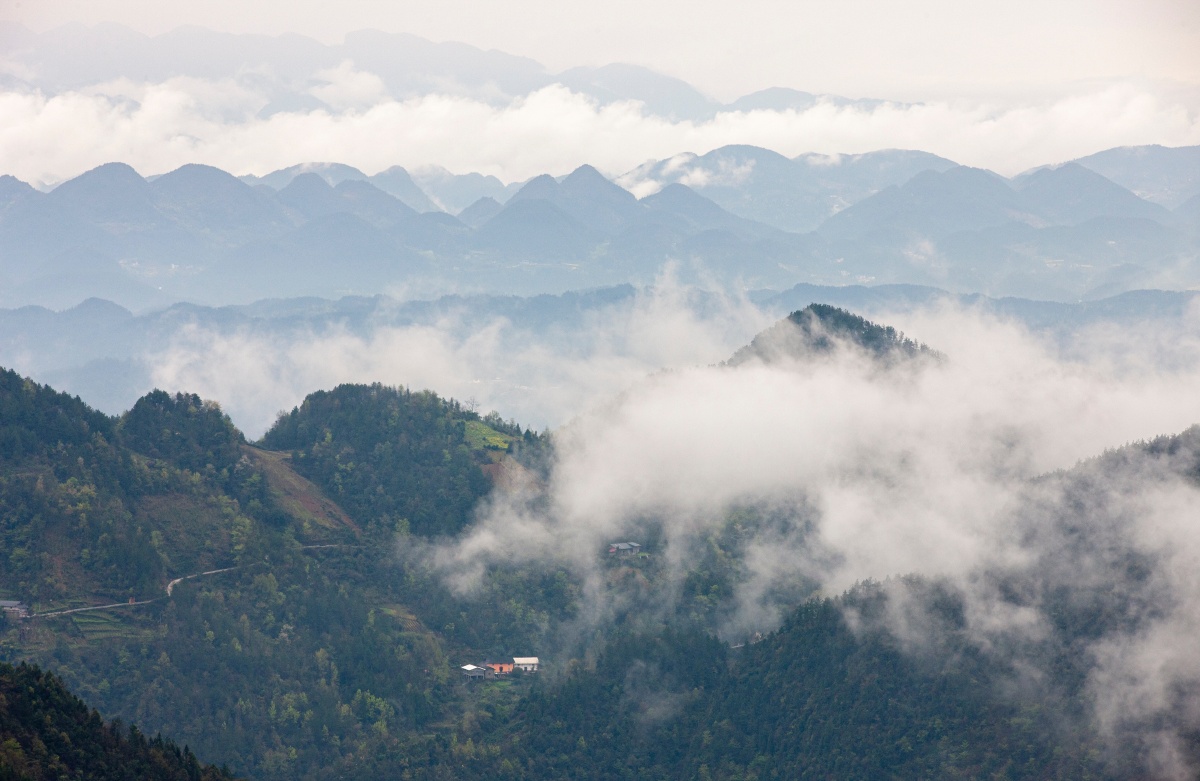 白云生处有人家