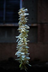 5G6A0182.jpg