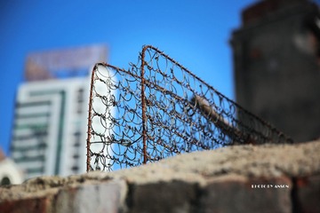 5G6A0454.jpg