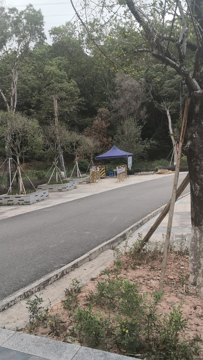 观赏景点平湖凤凰山72公园