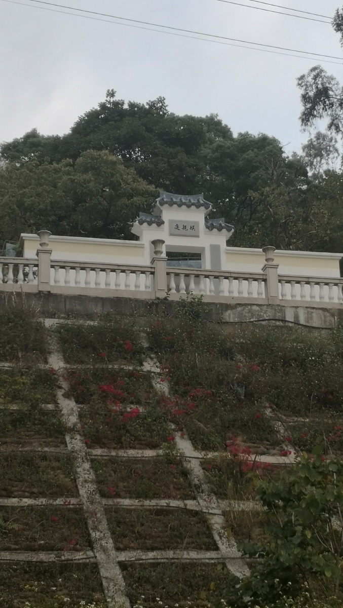 观赏景点平湖凤凰山72公园