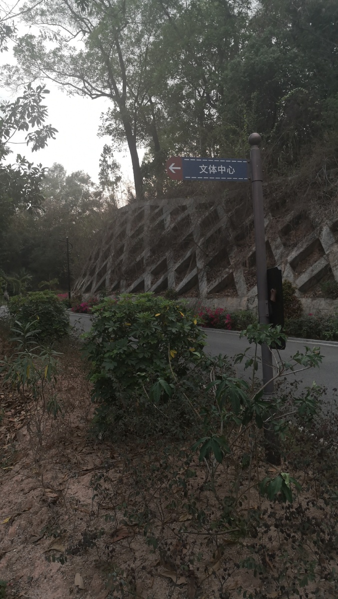 观赏景点平湖凤凰山72公园