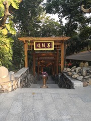 576239