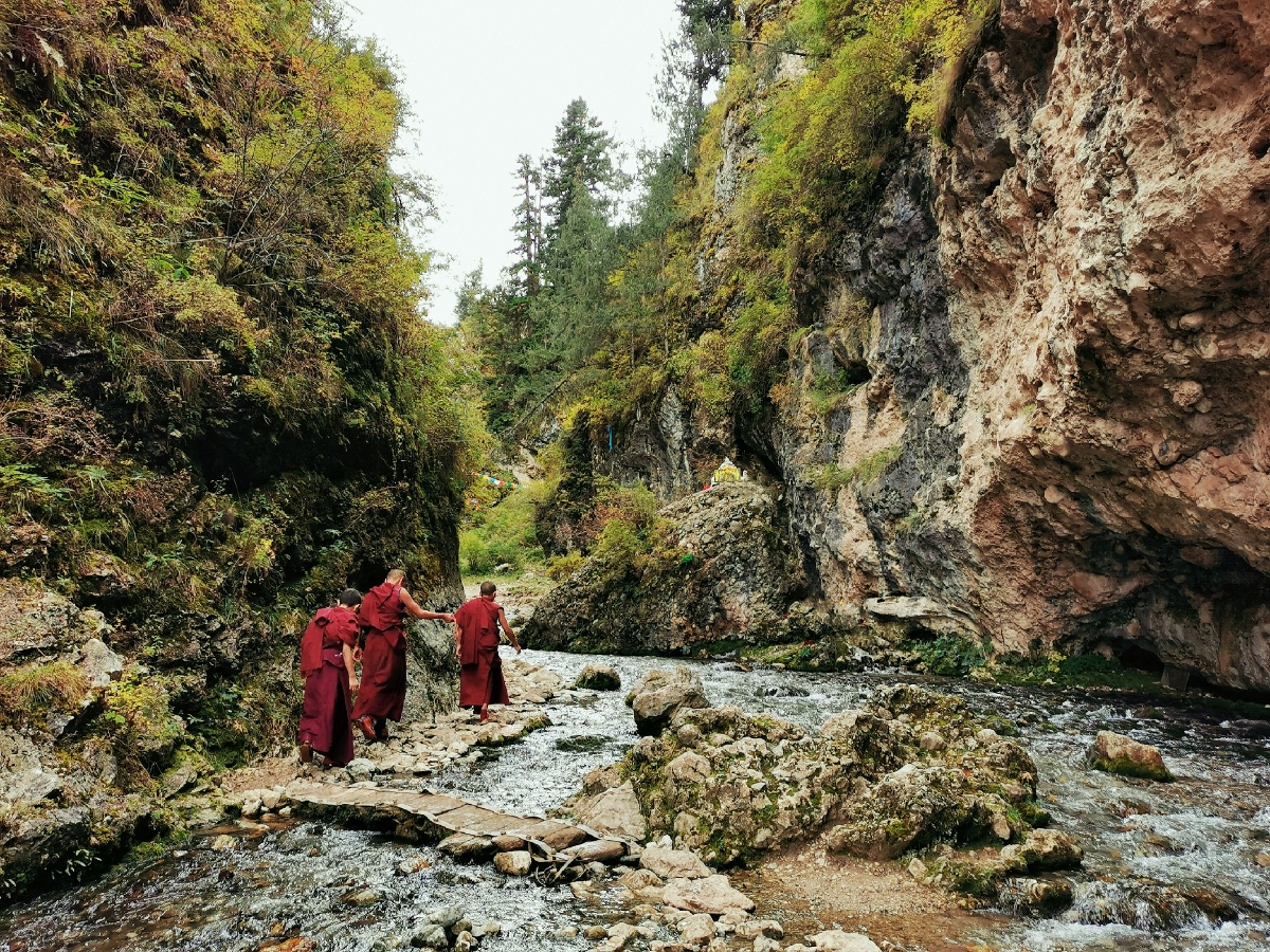 寻访白龙江源头