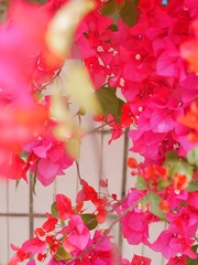 CDFE6BE7-1694-41BD-9A30-4FBD9937B3CB/L0/001