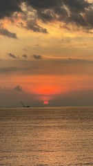 E89D3853-2499-4D8C-872E-5D309F6778F5/L0/001