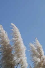 65DF7FEF-5BF7-4312-A95C-C8969051B456/L0/001