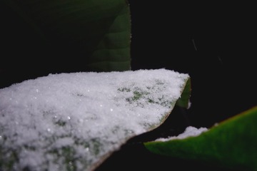 05A87B04-881E-4D69-90CC-8EA8BCD83AF9/L0/001