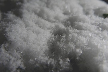 EA6433E8-6BF2-45C8-837A-FD0CE3AE617E/L0/001
