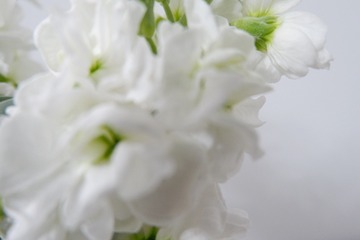 A8AEC693-888E-4197-9ECC-4E7BF439FE5E/L0/001