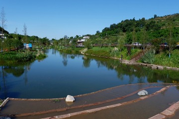 0683154B-BE8B-4F22-88F7-466B8B02760D/L0/001