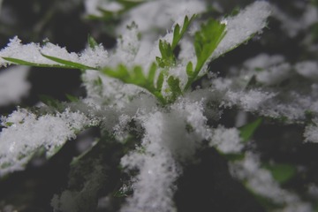 F8244352-560E-4E4C-ACBF-77E49C844914/L0/001