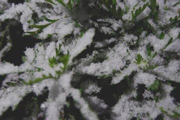 B42DA665-2B10-4C12-9E11-C65066363B23/L0/001