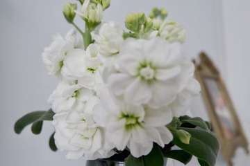 5C313C08-C120-4EA3-945E-F74D5A292700/L0/001