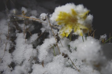 D90F744F-7CE2-42C6-BCEB-BB5FAB6B3E55/L0/001
