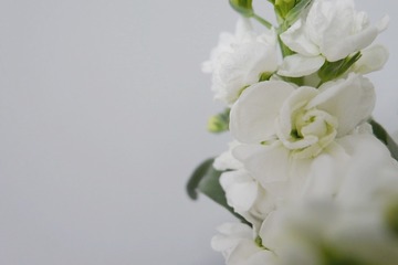 5D186DBC-D0EF-4482-B203-9595CECCFCA3/L0/001