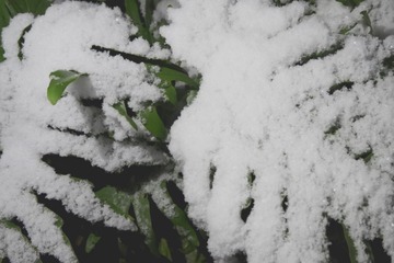 B6C0149C-48FE-4BC8-A0C8-DC6683937B80/L0/001