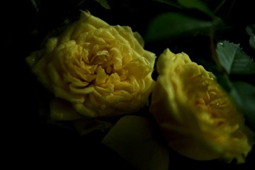 5E58E980-E638-4B22-8154-560F1079BA4F/L0/001