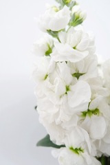 2CBE2F45-7B40-426A-B8BF-AB92727D3DA6/L0/001