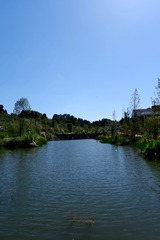 DA1733A6-217B-4738-A57E-EE9AEB303D42/L0/001