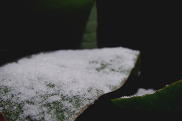 F1EA6BA7-65BD-4B00-BB98-5A090DBFCB1C/L0/001