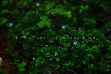 9C55EB06-FC7B-400F-A8E3-ACAAAFE5E928/L0/001