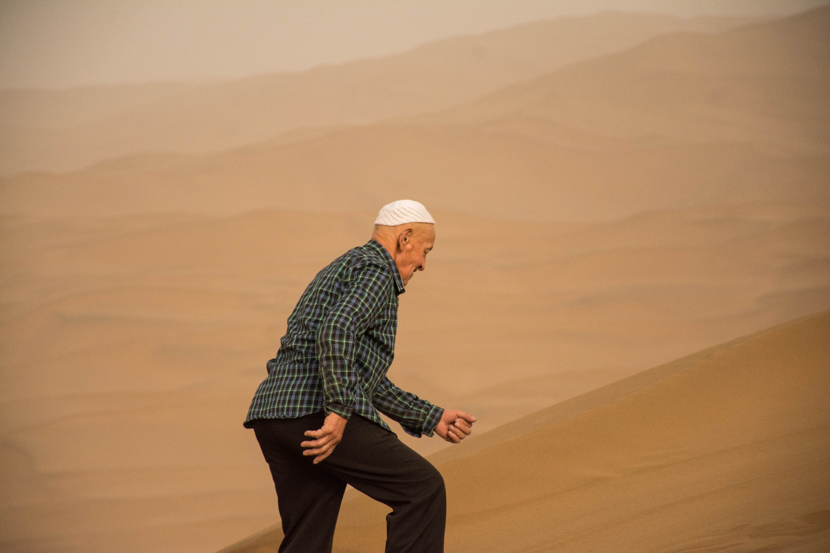 任风吹浪打仍昂首阔步