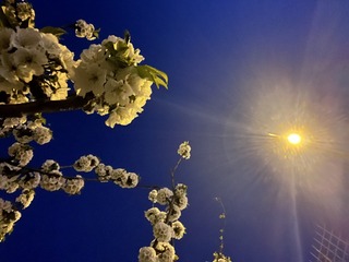 441CB98C-CF2D-4E60-BFE2-82E10F9E7E5A/L0/001