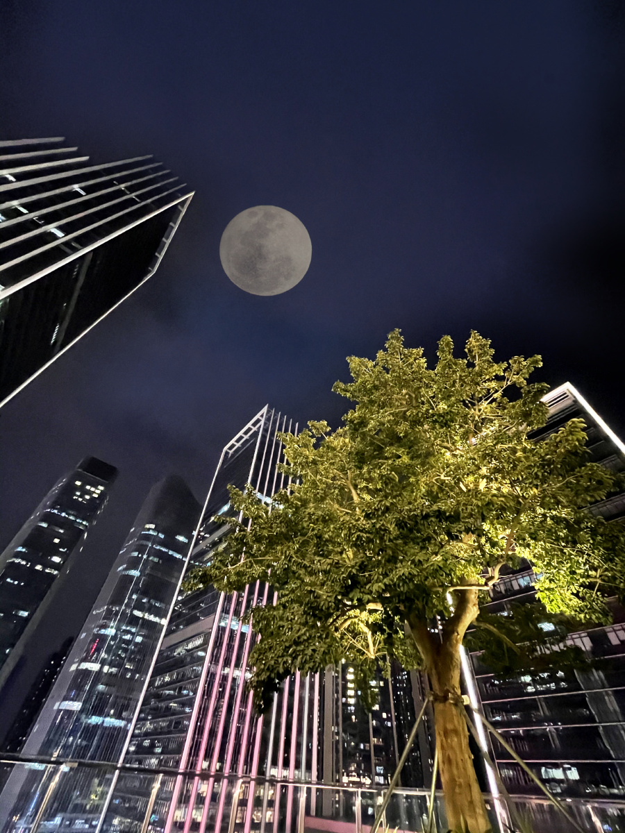 深圳万象天地城市夜景随拍