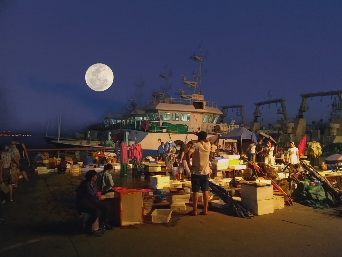 深圳蛇口渔港忙碌的码头辛苦的渔民