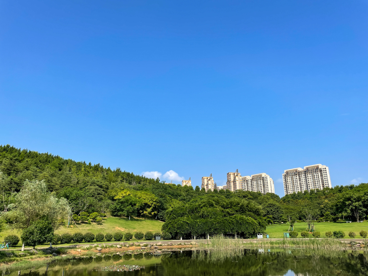 藏龙岛湿地公园