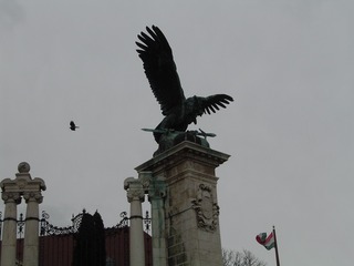7D66BCBC-DE6F-4D03-82BD-F69003435741/L0/001
