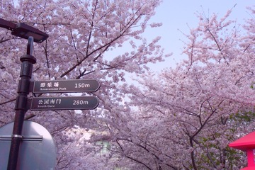 1028084
