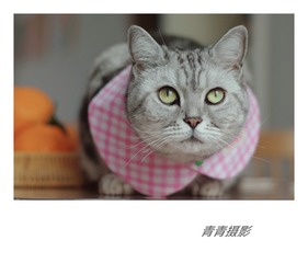 11037