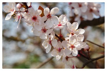 E867FD3E-9E47-434E-B7DC-0CBB094EE2D9/L0/001