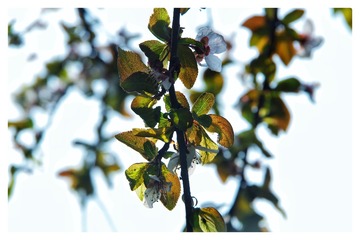 EF33BF59-63CF-4495-BAFD-2F15C54E0A66/L0/001