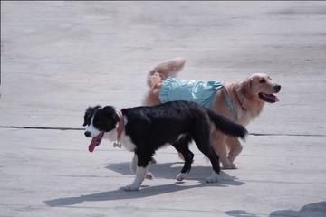 12375