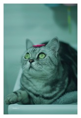 9545