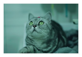 9539