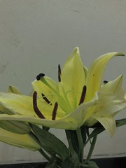 2F16E4D8-9CD8-4659-A43F-F9A07948A0CF/L0/001