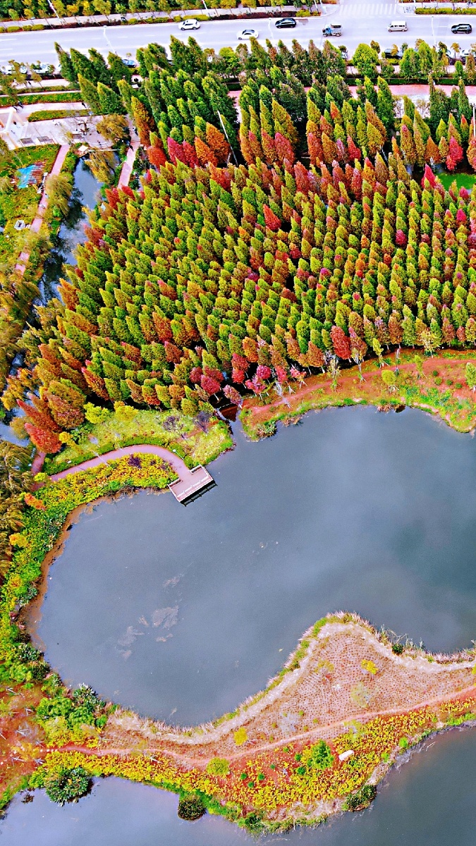 航拍昆明海洪湿地公园