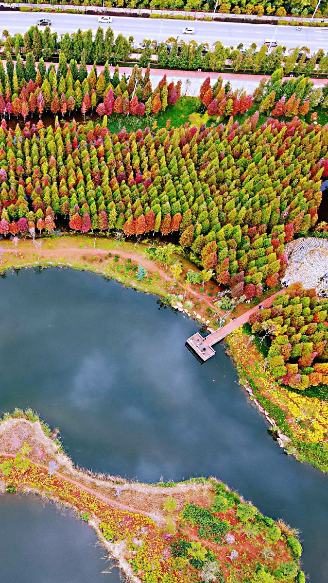 航拍昆明海洪湿地公园
