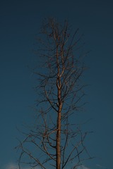C2F78812-DD5E-4446-9E38-7A0A24CC9F00/L0/001