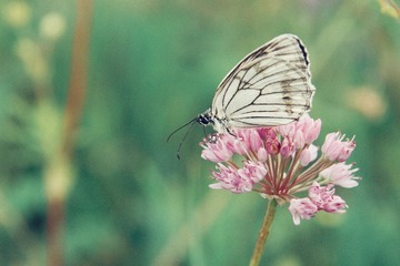1EE3DDBD-B2F0-4DE1-82FE-0DFA8DD37397/L0/001