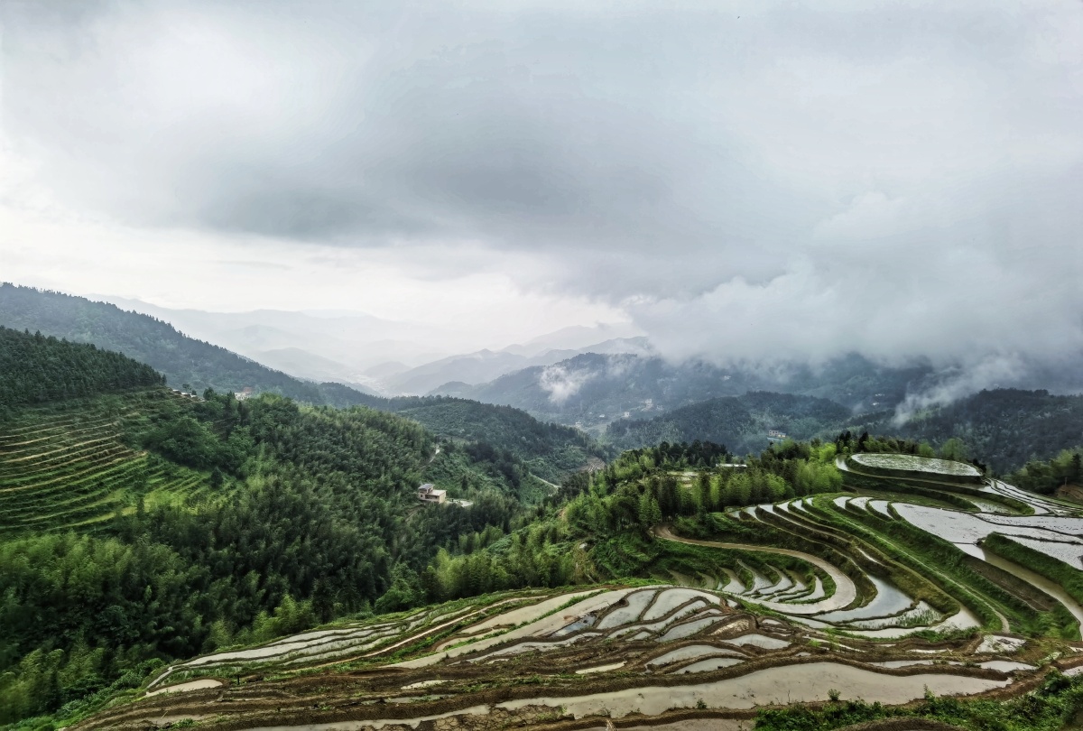 江西遂川县桃源梯田