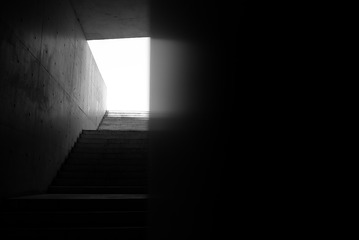 6591057