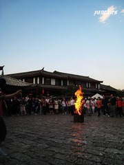 照片 157